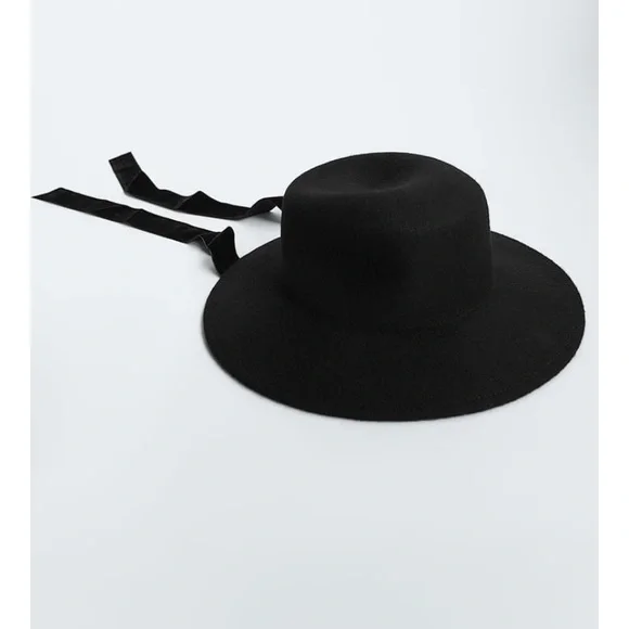 Zara | Accessories | Zara Felt Hat With Ties | Poshmark display picture 1